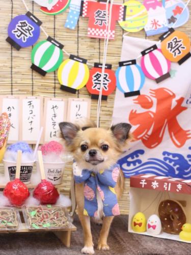 20240713れおくん